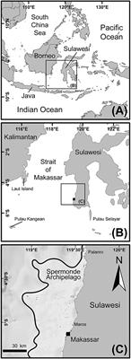 Reef Island Evolution and Dynamics: Insights from the Indian and Pacific Oceans and Perspectives for the Spermonde Archipelago